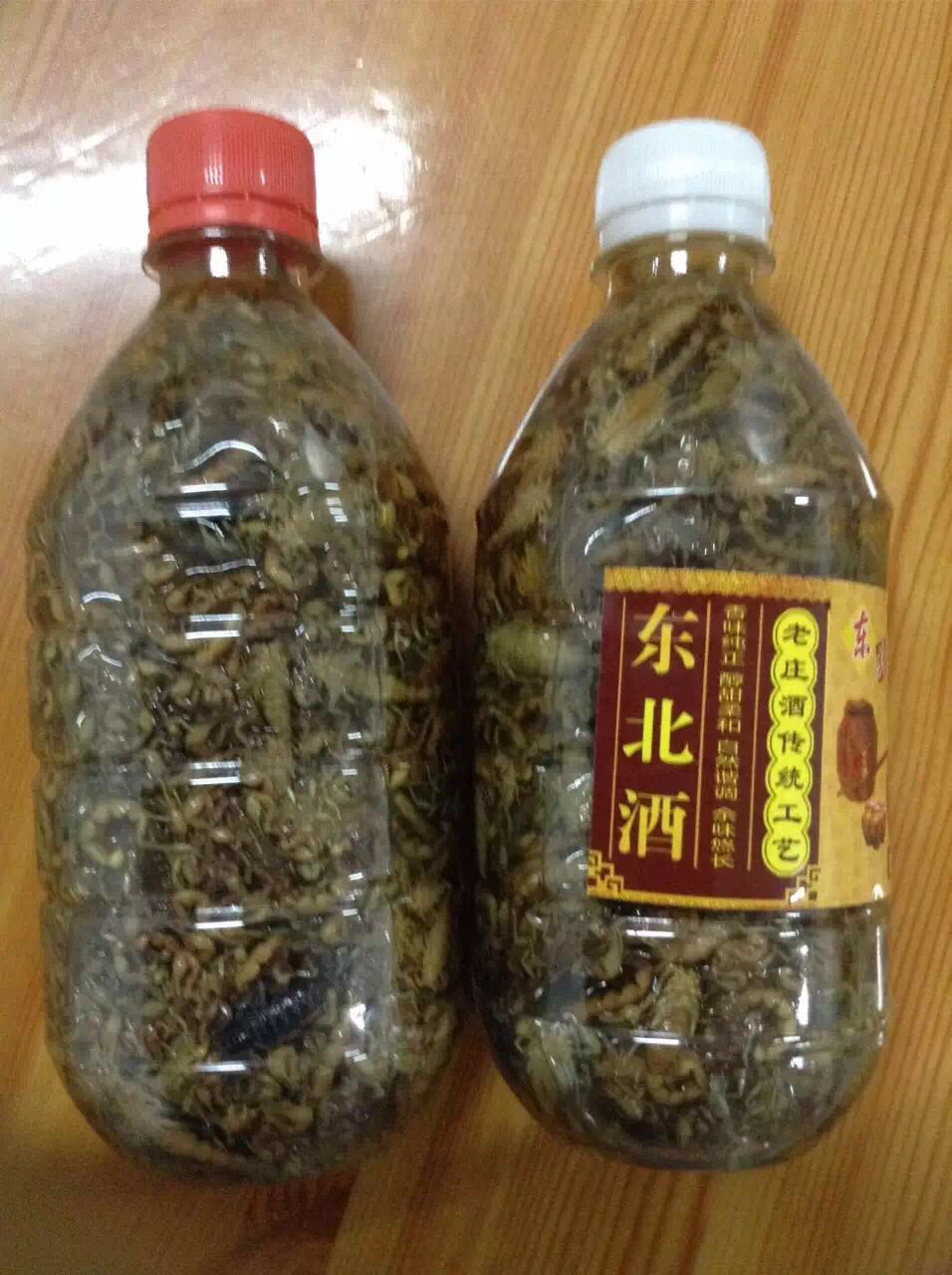 出售新疆野生蝎子